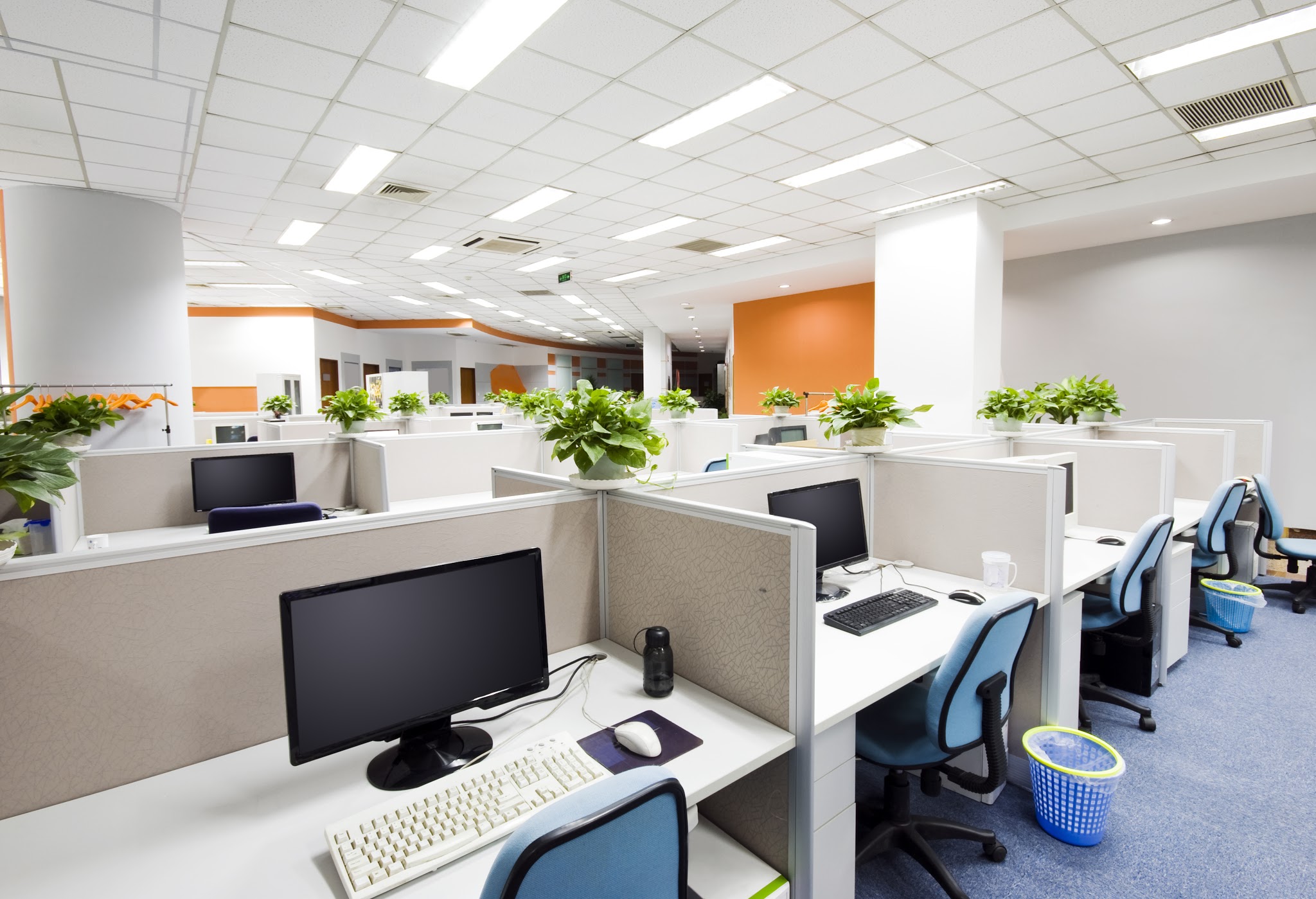 Quality Cleaning Service Image